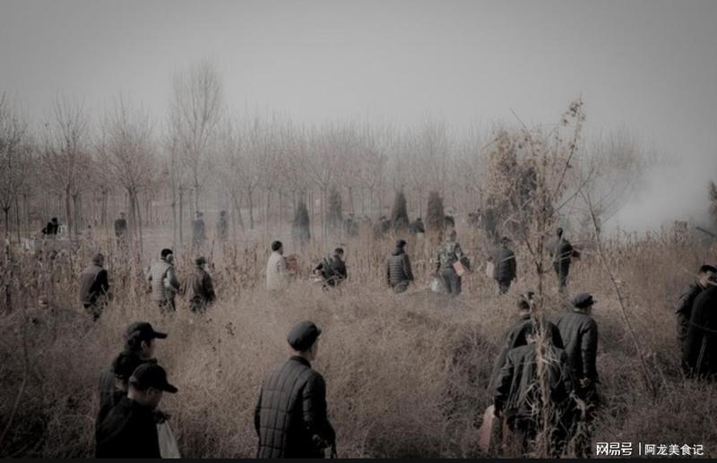  清明节气自我调理指南：五项实操步骤与执行要点 IT技术