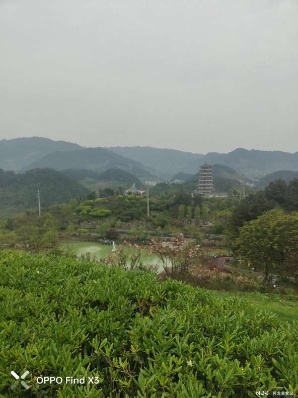  清明节气自我调理指南：五项实操步骤与执行要点 IT技术