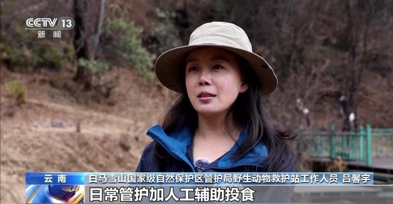 特别“家庭旅行团”亮相 我国野生动植物保护交出亮眼答卷 新闻