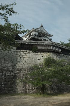 财经分析：白山松水塑造冰天雪地新优势 新闻