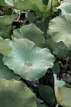 绿水青山绘就金山银山;“十五五”中国生态故事续写;世界共享绿色希望。 新闻 绿水青山绘就金山银山;“十五五”中国生态故事续写;世界共享绿色希望。 新闻 绿水青山绘就金山银山;“十五五”中国生态故事续写;世界共享绿色希望。 新闻 绿水青山绘就金山银山;“十五五”中国生态故事续写;世界共享绿色希望。 新闻 绿水青山绘就金山银山;“十五五”中国生态故事续写;世界共享绿色希望。 新闻 绿水青山绘就金山银山;“十五五”中国生态故事续写;世界共享绿色希望。 新闻