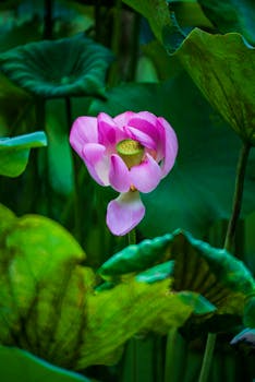 台湾代表发出心声:统一带来安定富足;两岸合作前景无限广阔。 新闻 台湾代表发出心声:统一带来安定富足;两岸合作前景无限广阔。 新闻 台湾代表发出心声:统一带来安定富足;两岸合作前景无限广阔。 新闻 台湾代表发出心声:统一带来安定富足;两岸合作前景无限广阔。 新闻 台湾代表发出心声:统一带来安定富足;两岸合作前景无限广阔。 新闻 台湾代表发出心声:统一带来安定富足;两岸合作前景无限广阔。 新闻