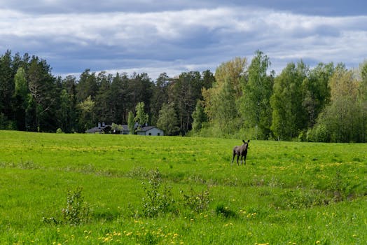  俄罗斯财政紧缩路径渐清；非核心支出或缩减明显；外部能源价格走势主导决策 股票财经 俄罗斯财政紧缩路径渐清；非核心支出或缩减明显；外部能源价格走势主导决策 股票财经 俄罗斯财政紧缩路径渐清；非核心支出或缩减明显；外部能源价格走势主导决策 股票财经 俄罗斯财政紧缩路径渐清；非核心支出或缩减明显；外部能源价格走势主导决策 股票财经 俄罗斯财政紧缩路径渐清；非核心支出或缩减明显；外部能源价格走势主导决策 股票财经 俄罗斯财政紧缩路径渐清；非核心支出或缩减明显；外部能源价格走势主导决策 股票财经
