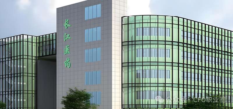 财务总监的“背锅”代价:百万罚单背后的职业迷局与内控缺失 股票财经