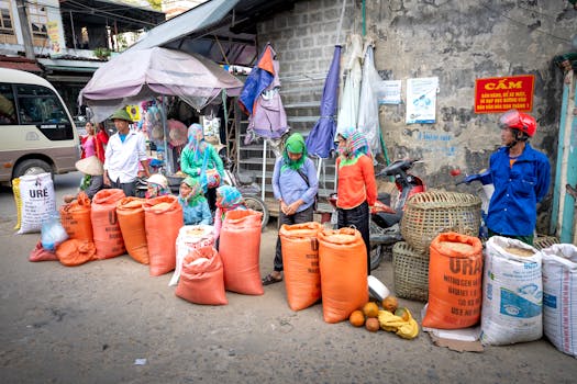 数字化转型下的现代农业：让“粮袋子”变成“金饭碗”的实操路径