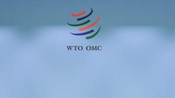  认知偏差下的焦虑：为何美方对稀土管制反应过度？ 新闻