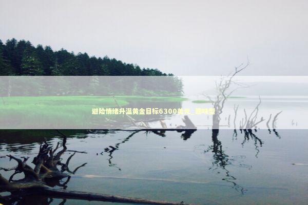 避险情绪升温黄金目标6300美元_趣味型