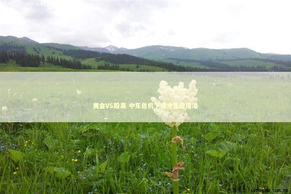 黄金VS股票 中东危机下谁才是避风港 黄金VS股票 中东危机下谁才是避风港 新闻