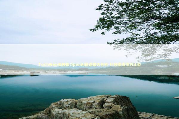 TechWeb微晚报OpenAI遭遇最大危机-科技圈震荡对比型 TechWeb微晚报OpenAI遭遇最大危机-科技圈震荡对比型 新闻