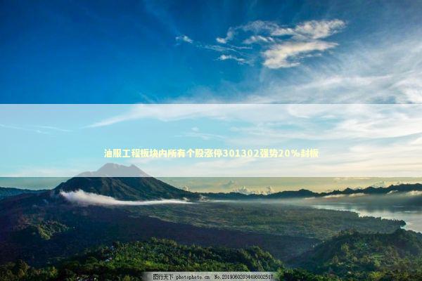 油服工程板块内所有个股涨停301302强势20%封板