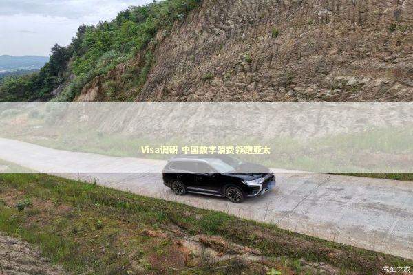 Visa调研 中国数字消费领跑亚太 新闻