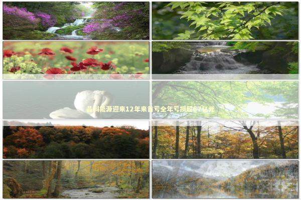 晶科能源迎来12年来首亏全年亏损超67亿元 新闻