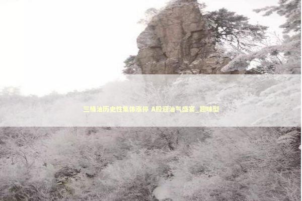 三桶油历史性集体涨停 A股迎油气盛宴_趣味型 三桶油历史性集体涨停 A股迎油气盛宴_趣味型 新闻