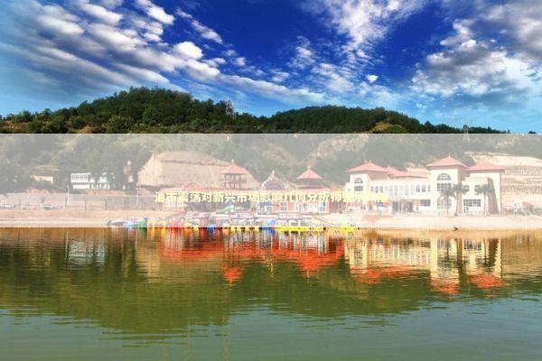 油市震荡对新兴市场影响几何分析师警示风险 油市震荡对新兴市场影响几何分析师警示风险 新闻