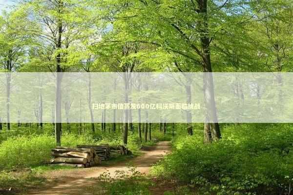 扫地茅市值蒸发600亿科沃斯面临挑战 扫地茅市值蒸发600亿科沃斯面临挑战 新闻