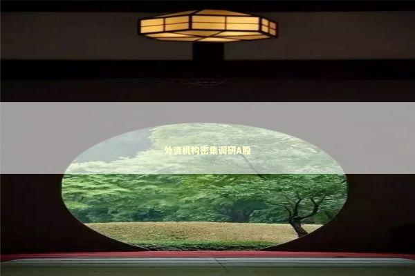 外资机构密集调研A股 外资机构密集调研A股 新闻