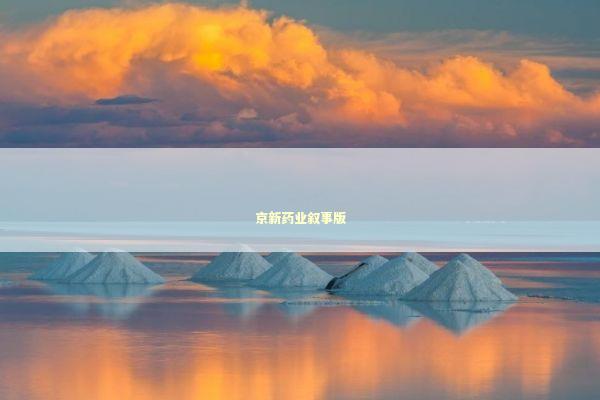 京新药业叙事版 京新药业叙事版 新闻