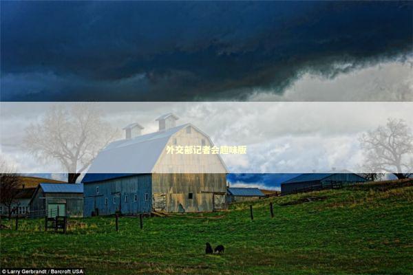 外交部记者会趣味版 新闻