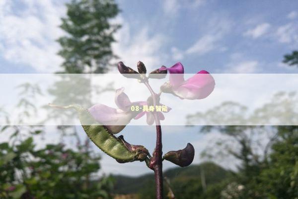 08-具身智能 08-具身智能 新闻