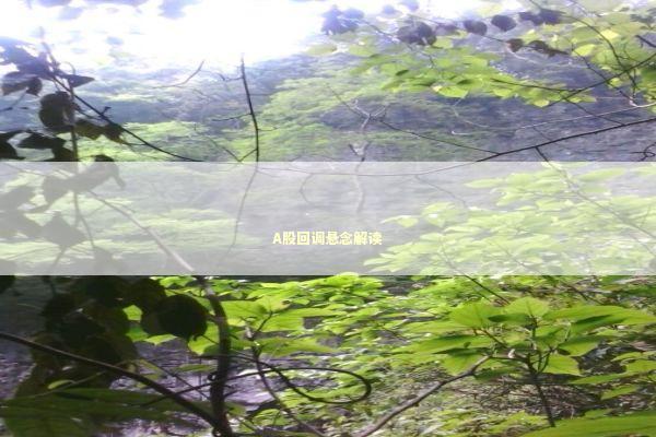 A股回调悬念解读 新闻