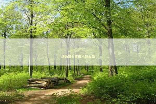 华为算力底座小题大做 新闻