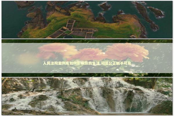 人民法院案例库如何影响你我生活 司法公正触手可及 人民法院案例库如何影响你我生活 司法公正触手可及 新闻