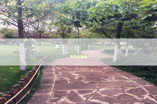 金价实用版 新闻