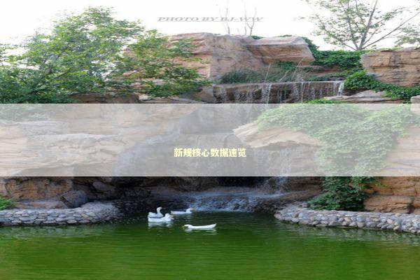 新规核心数据速览 新规核心数据速览 新闻