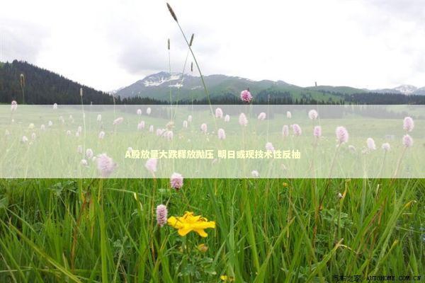 A股放量大跌释放抛压 明日或现技术性反抽 A股放量大跌释放抛压 明日或现技术性反抽 新闻