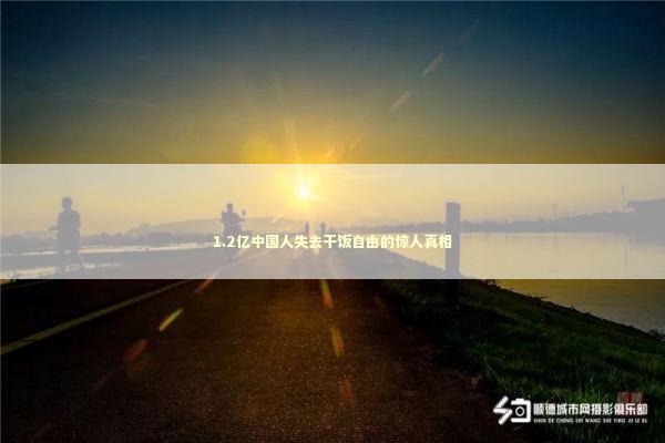 1.2亿中国人失去干饭自由的惊人真相 1.2亿中国人失去干饭自由的惊人真相 新闻