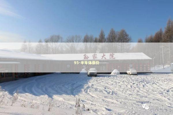 95-半导体涨价 95-半导体涨价 新闻