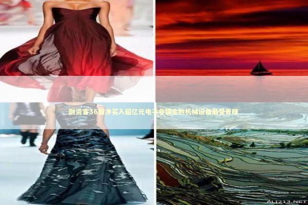 融资客36股净买入超亿元电子非银金融机械设备最受青睐 融资客36股净买入超亿元电子非银金融机械设备最受青睐 新闻