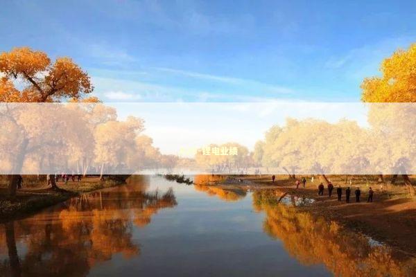 420-锂电业绩 新闻