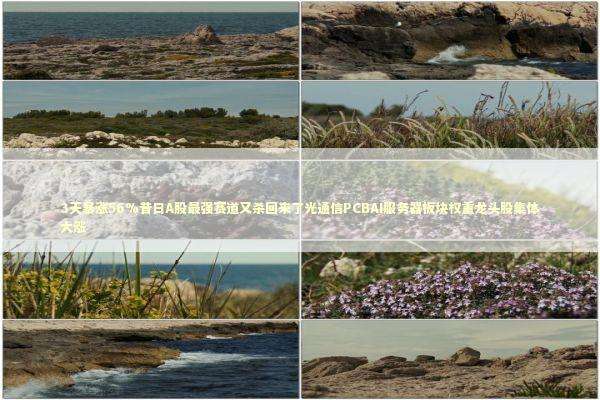 3天暴涨56%昔日A股最强赛道又杀回来了光通信PCBAI服务器板块权重龙头股集体大涨 新闻