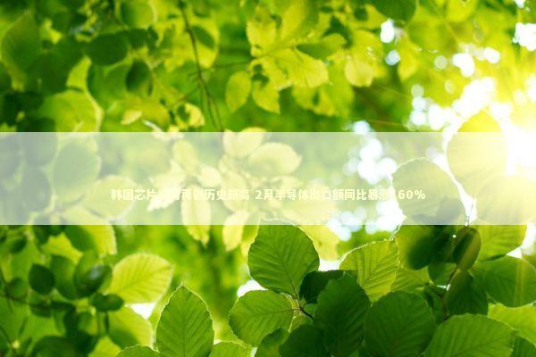 韩国芯片出口再创历史新高 2月半导体出口额同比暴涨160% 韩国芯片出口再创历史新高 2月半导体出口额同比暴涨160% 新闻