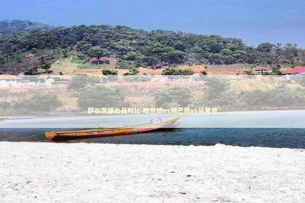 萨尔茨堡出品对比 哈兰德vs姆巴佩vs马里奇 萨尔茨堡出品对比 哈兰德vs姆巴佩vs马里奇 新闻