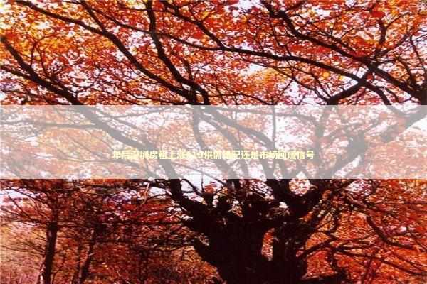 年后深圳房租上涨510供需错配还是市场回暖信号 新闻