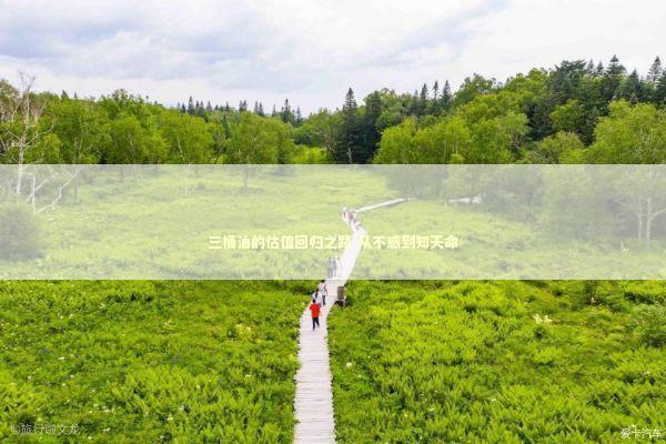 三桶油的估值回归之路 从不惑到知天命 三桶油的估值回归之路 从不惑到知天命 新闻