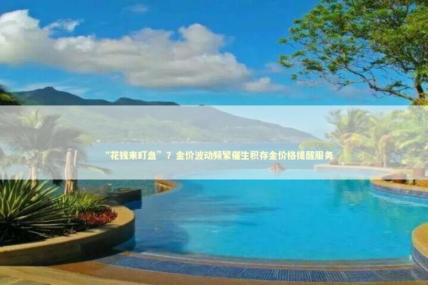 “花钱来盯盘”?金价波动频繁催生积存金价格提醒服务 “花钱来盯盘”?金价波动频繁催生积存金价格提醒服务 新闻