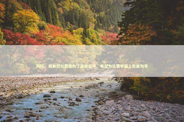 内托:我来切尔西是为了赢得奖杯,希望为这赛季画上完美句号 内托:我来切尔西是为了赢得奖杯,希望为这赛季画上完美句号 新闻