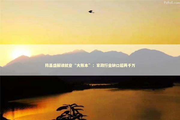 陈昌盛解读就业“大账本”:家政行业缺口超两千万 陈昌盛解读就业“大账本”:家政行业缺口超两千万 新闻