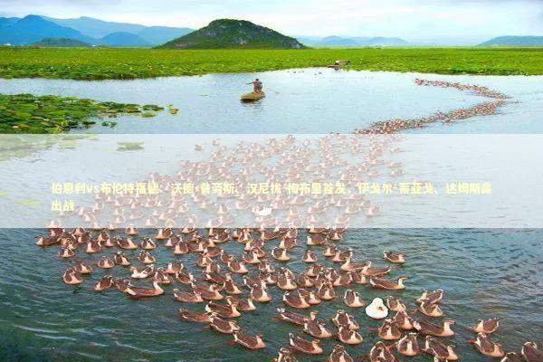 伯恩利vs布伦特福德:沃德-普劳斯、汉尼拔-梅布里首发,伊戈尔-蒂亚戈、达姆斯高出战 伯恩利vs布伦特福德:沃德-普劳斯、汉尼拔-梅布里首发,伊戈尔-蒂亚戈、达姆斯高出战 新闻