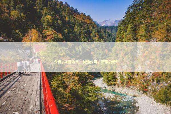 今夜,A股油气、航运公司,密集公告! 今夜,A股油气、航运公司,密集公告! 新闻