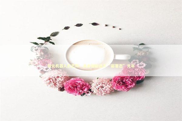 智元机器人彭志辉:具身智能进入“部署态”元年 智元机器人彭志辉:具身智能进入“部署态”元年 新闻