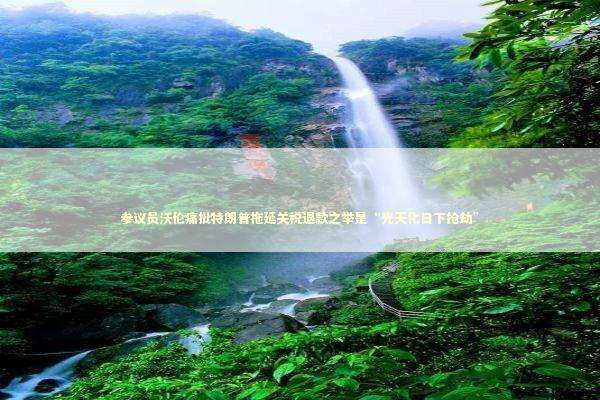 参议员沃伦痛批特朗普拖延关税退款之举是“光天化日下抢劫” 新闻