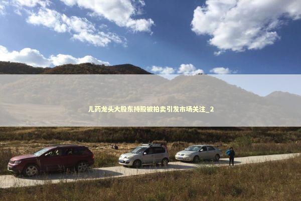 儿药龙头大股东持股被拍卖引发市场关注_2 儿药龙头大股东持股被拍卖引发市场关注_2 新闻