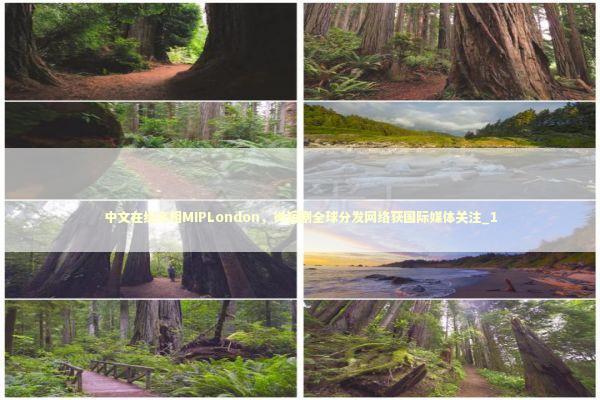 中文在线亮相MIPLondon,微短剧全球分发网络获国际媒体关注_1 中文在线亮相MIPLondon,微短剧全球分发网络获国际媒体关注_1 新闻