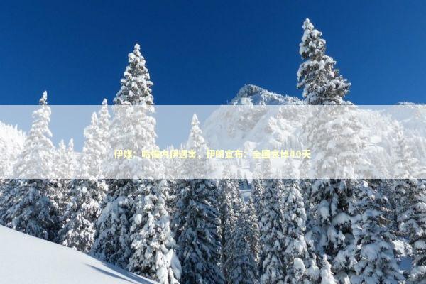 伊媒:哈梅内伊遇害,伊朗宣布:全国哀悼40天 伊媒:哈梅内伊遇害,伊朗宣布:全国哀悼40天 新闻