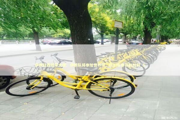 伊朗驻西班牙大使：伊朗队将参加世界杯，我们有参赛的权利_5 新闻