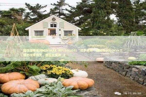 国信证券维持MINIMAX-WP(00100)“优于大市”评级指MiniMax三模态技术领先,质价比突出_2 国信证券维持MINIMAX-WP(00100)“优于大市”评级指MiniMax三模态技术领先,质价比突出_2 新闻